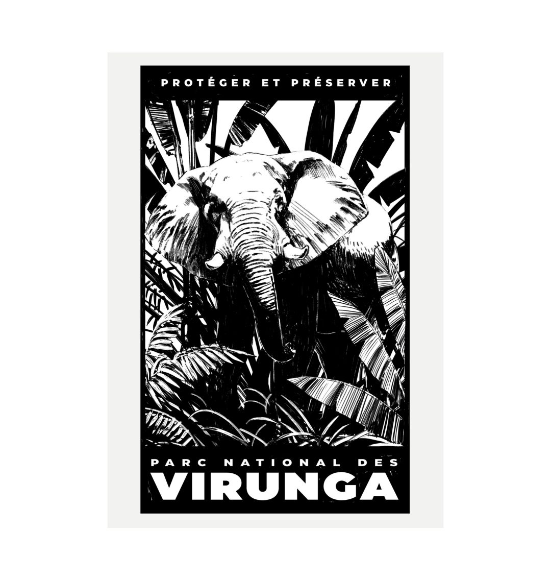 White African Elephant Poster