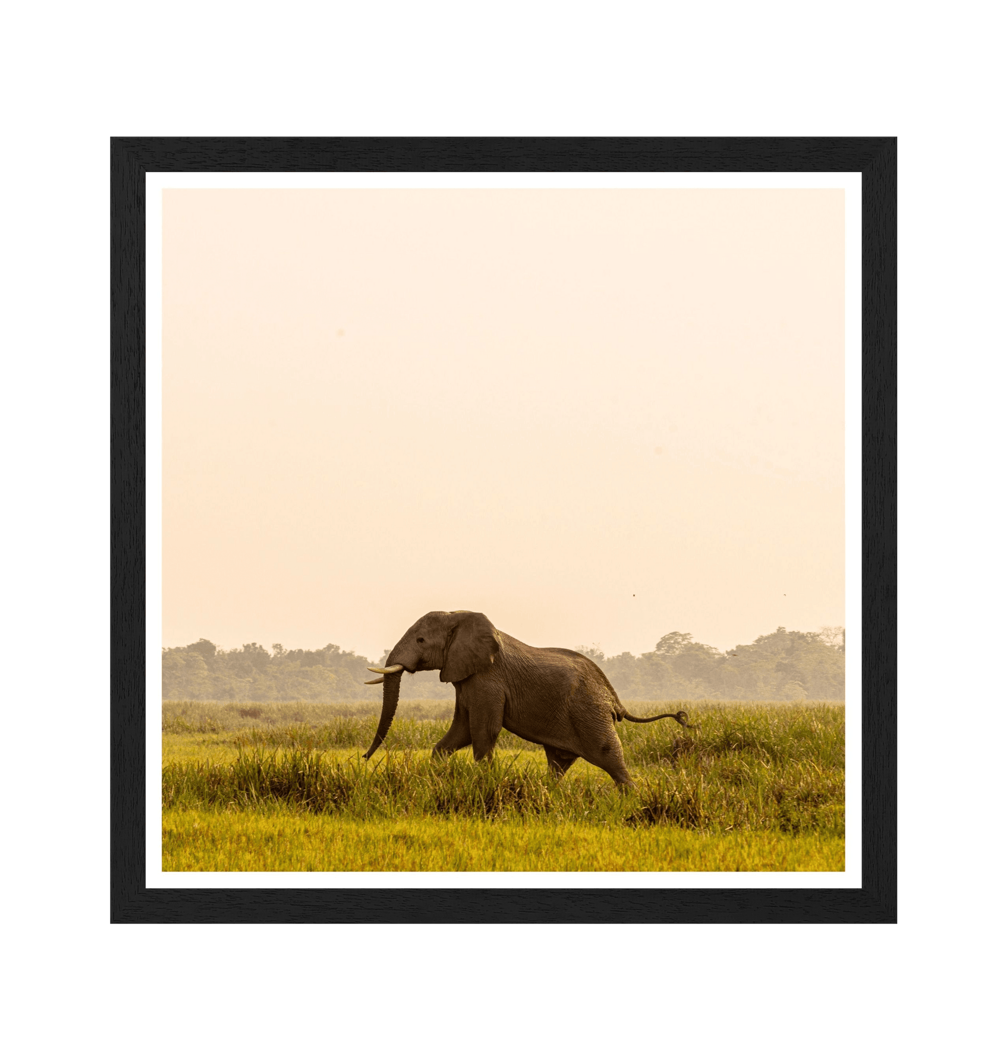 Black Frame Framed art print Front