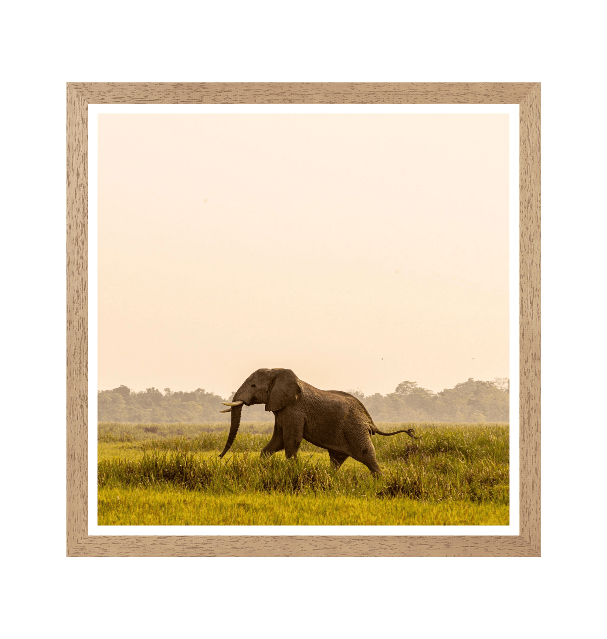 Natural Frame Framed art print Front