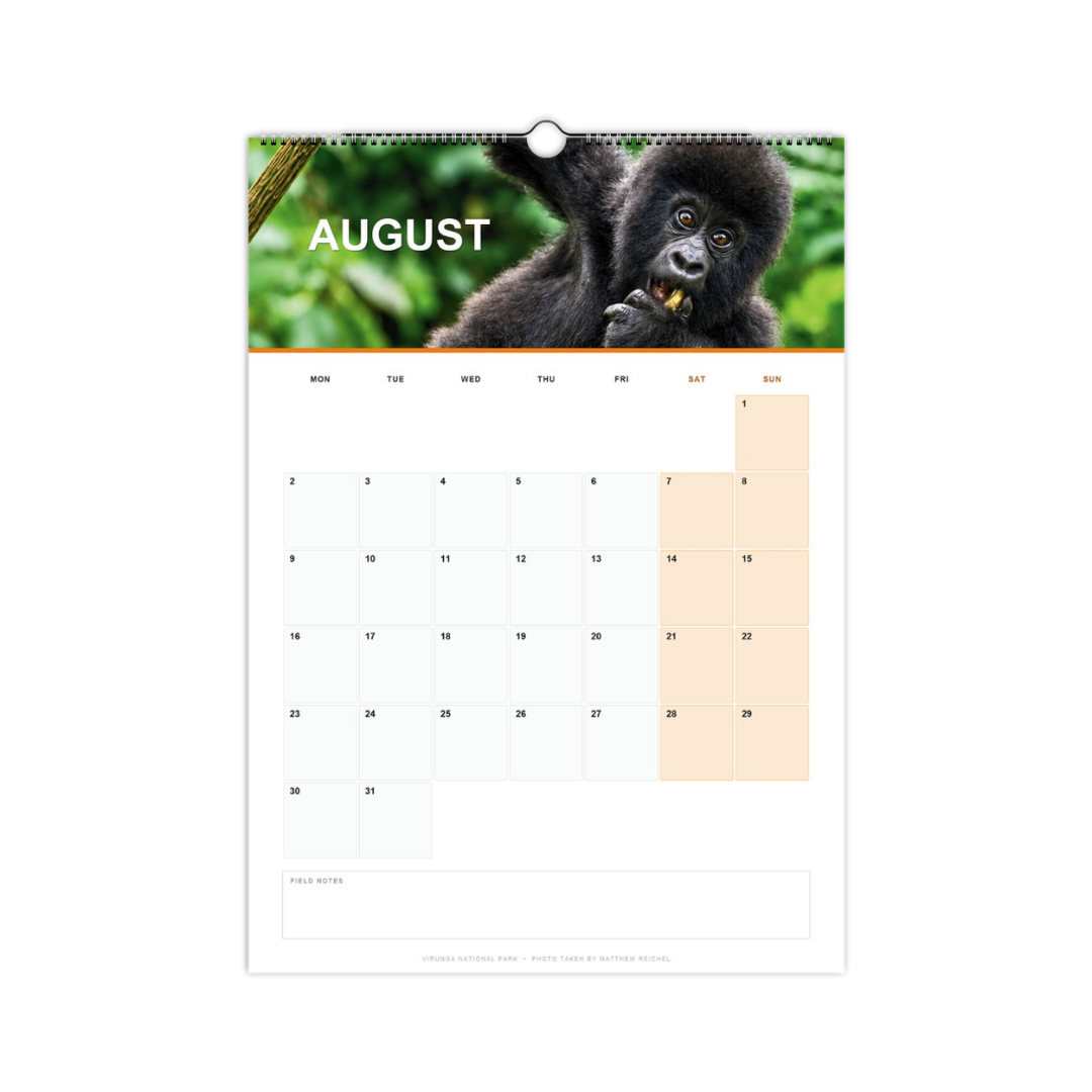 Gorilla Wall Calendar 2027