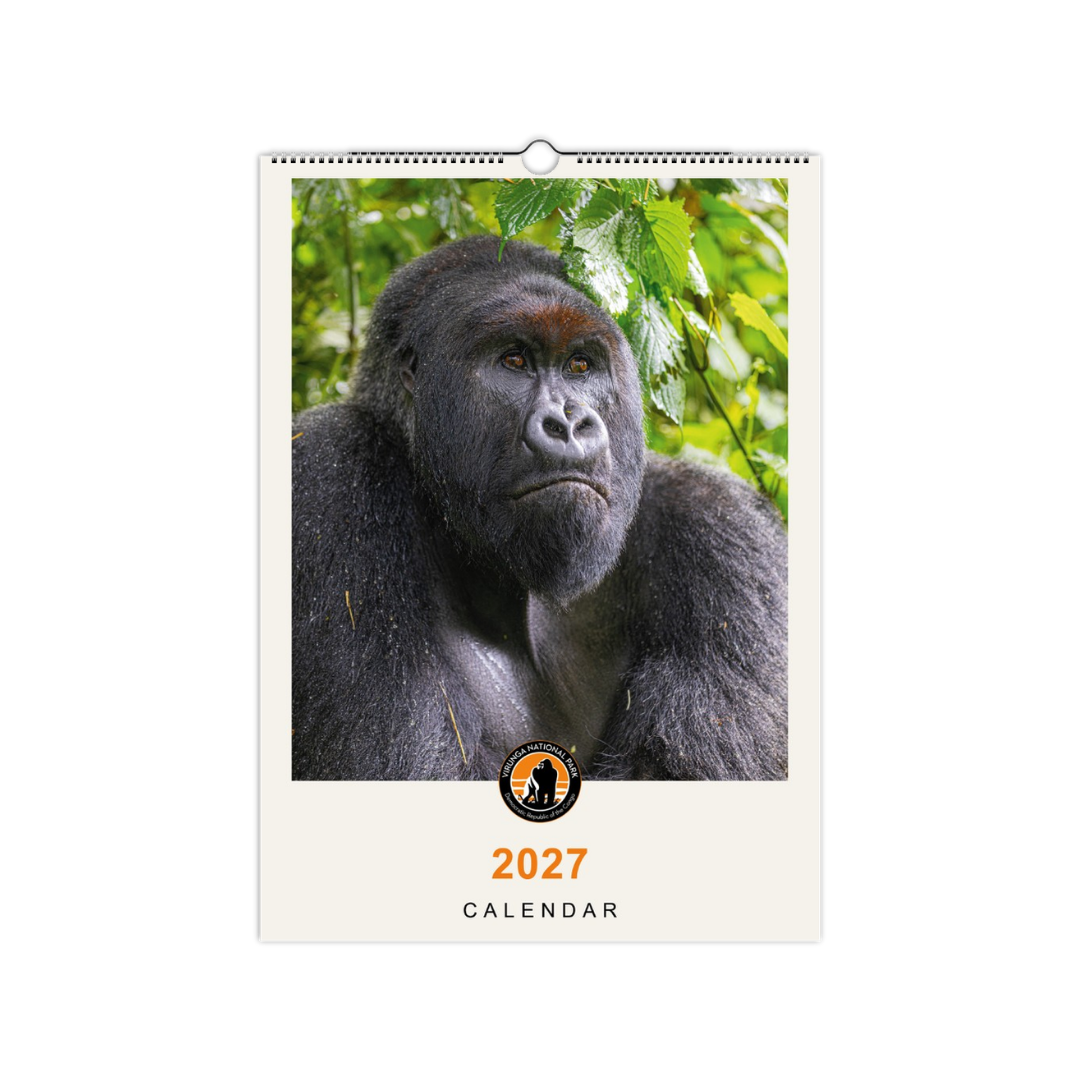 Gorilla Wall Calendar 2027