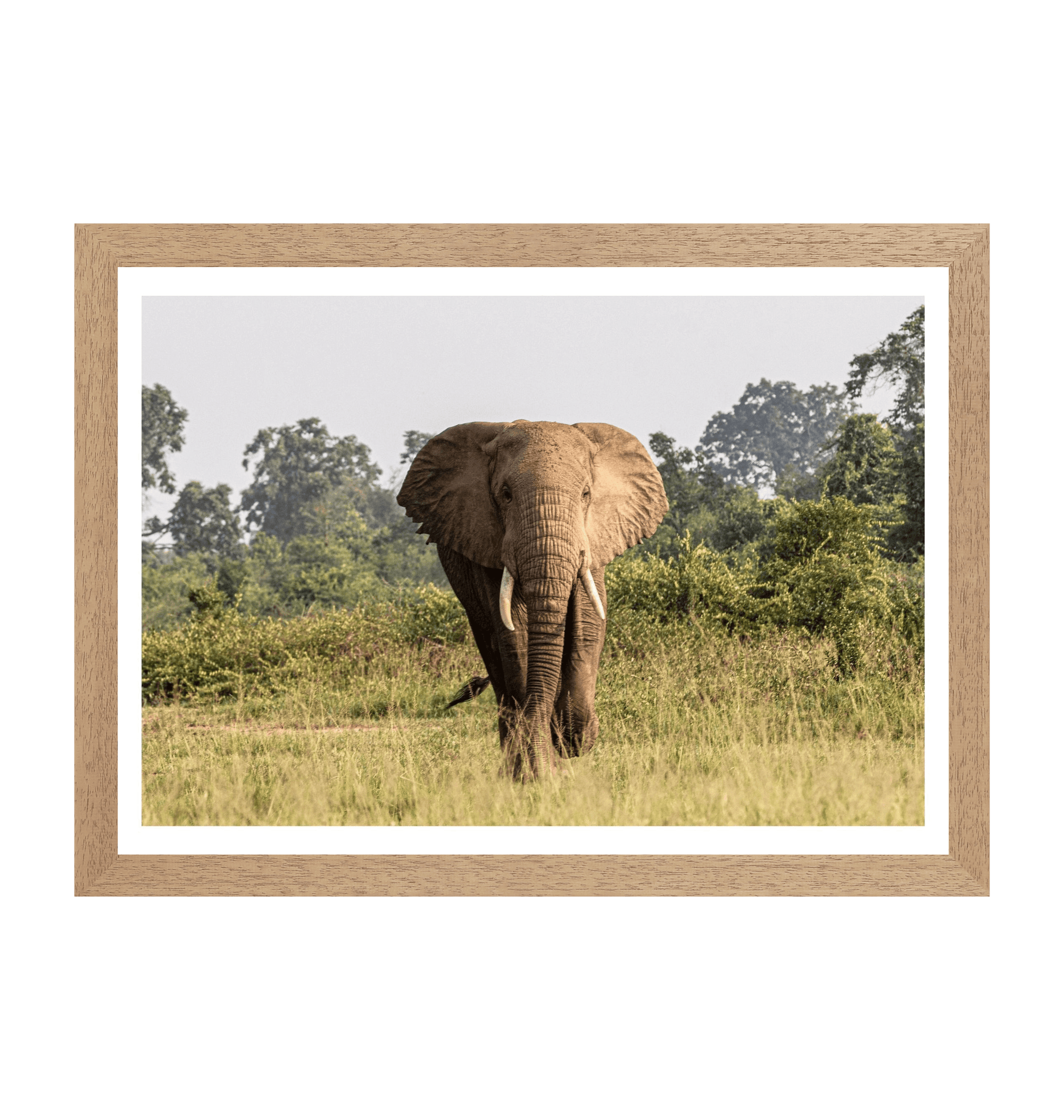 Natural Frame Framed art print Front