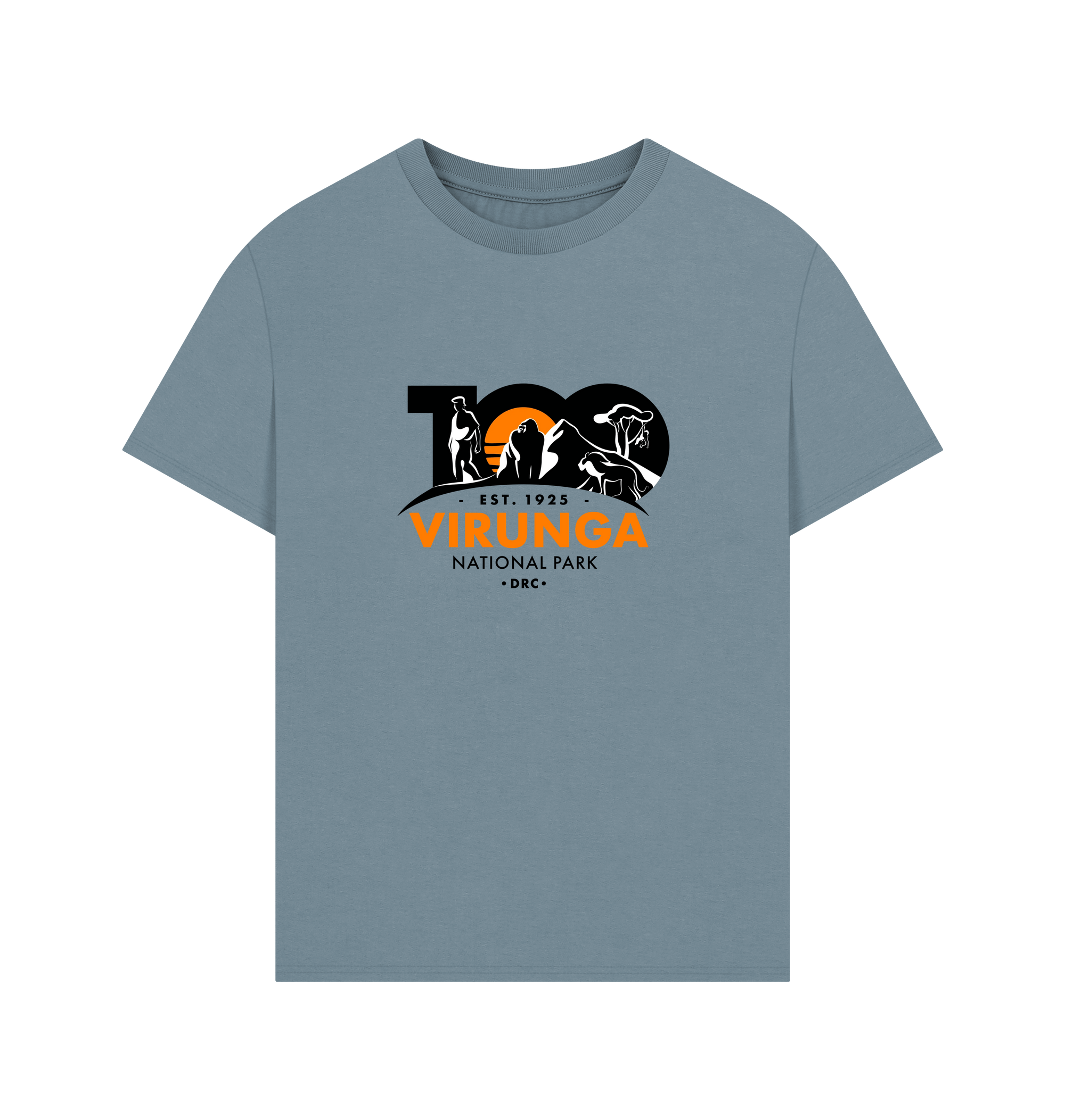 Stone Blue Printed T-shirt Front