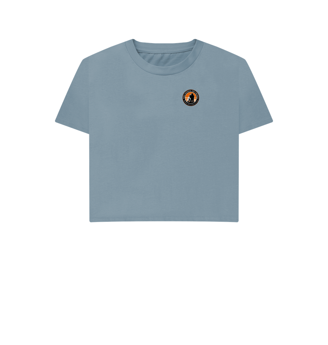 Stone Blue Printed T-shirt Front